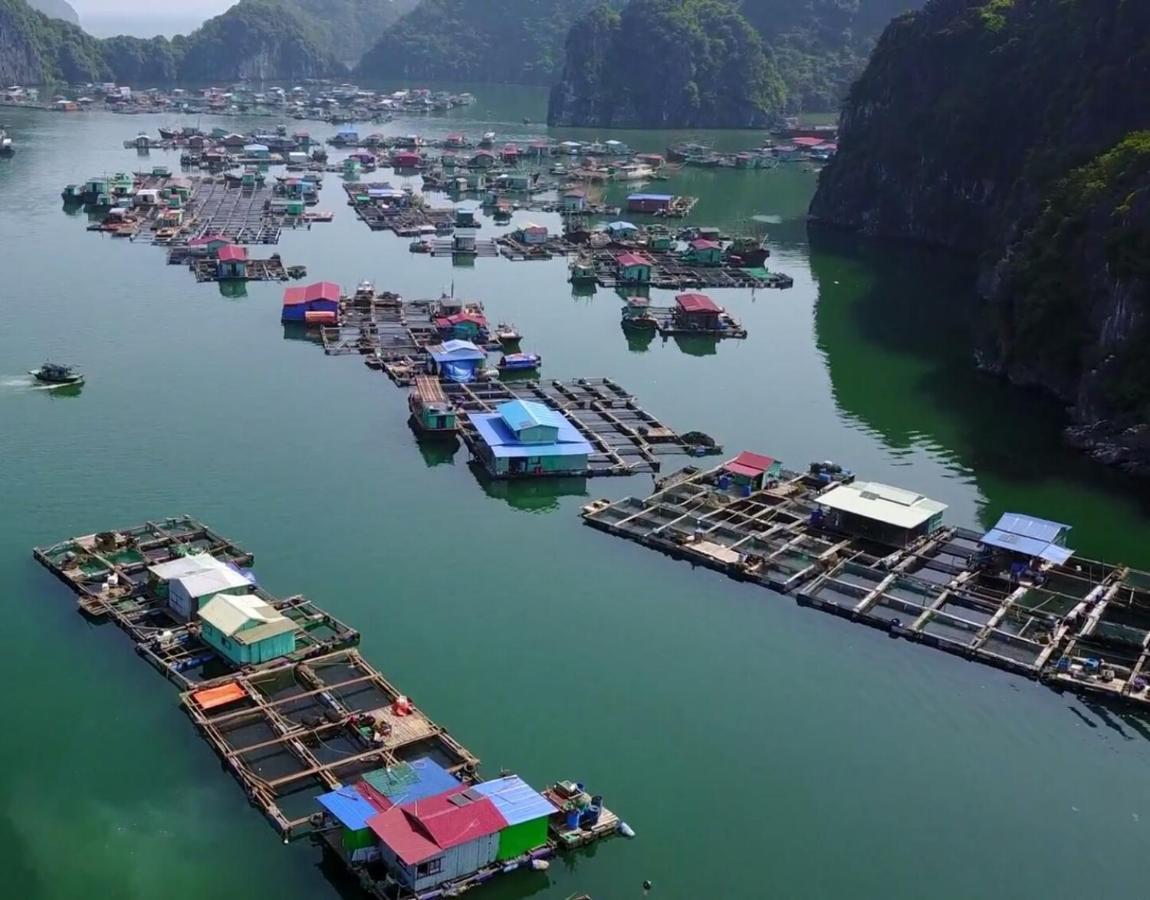 Cat Ba Thailand Hotel Dong Khe Sau Buitenkant foto